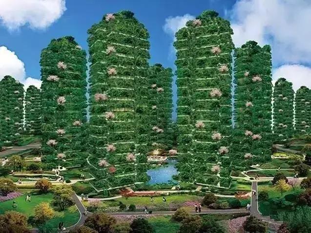 圣德保陶瓷森態(tài)石｜把森林&ldquo;植&rdquo;入家，凈享天然氧！